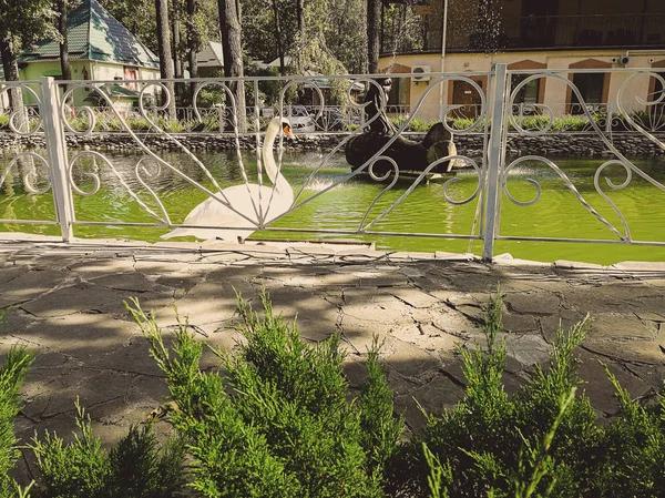 Firsthand Resort Impressions Shared in Westgate Resorts Reviews